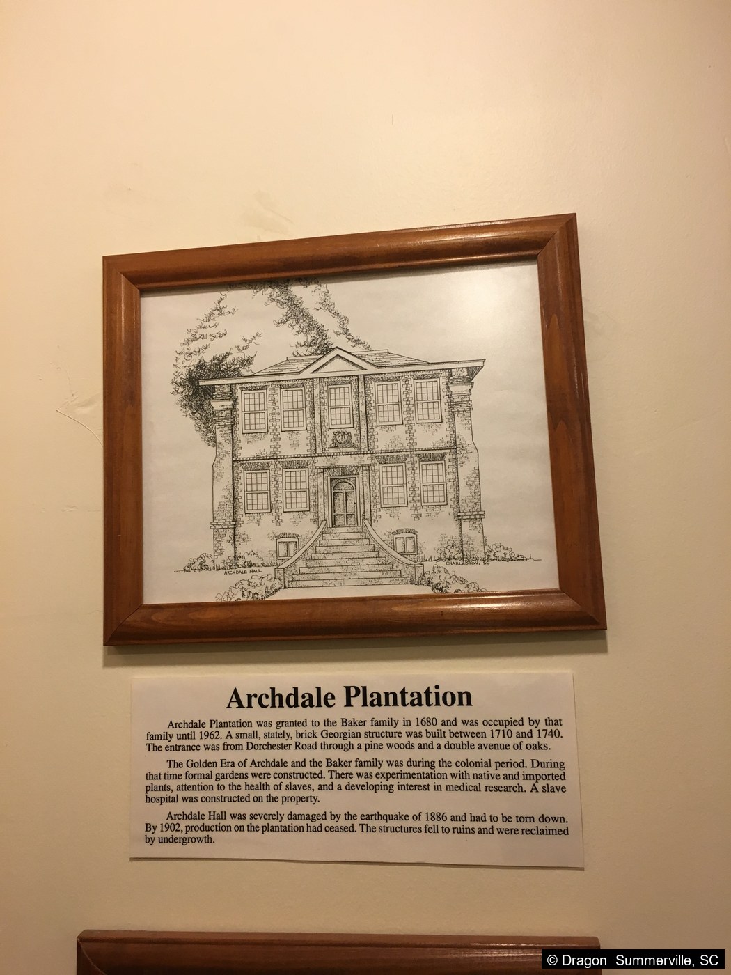 Archdale Plantation 历史展板