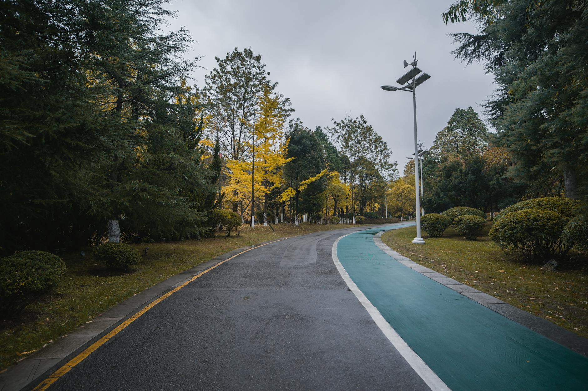 📏 道路横断面设计：空间分配的价值取舍