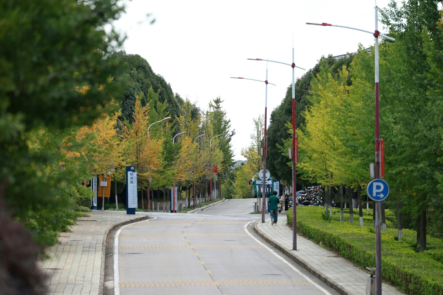 📏 道路横断面设计：空间分配的价值取舍