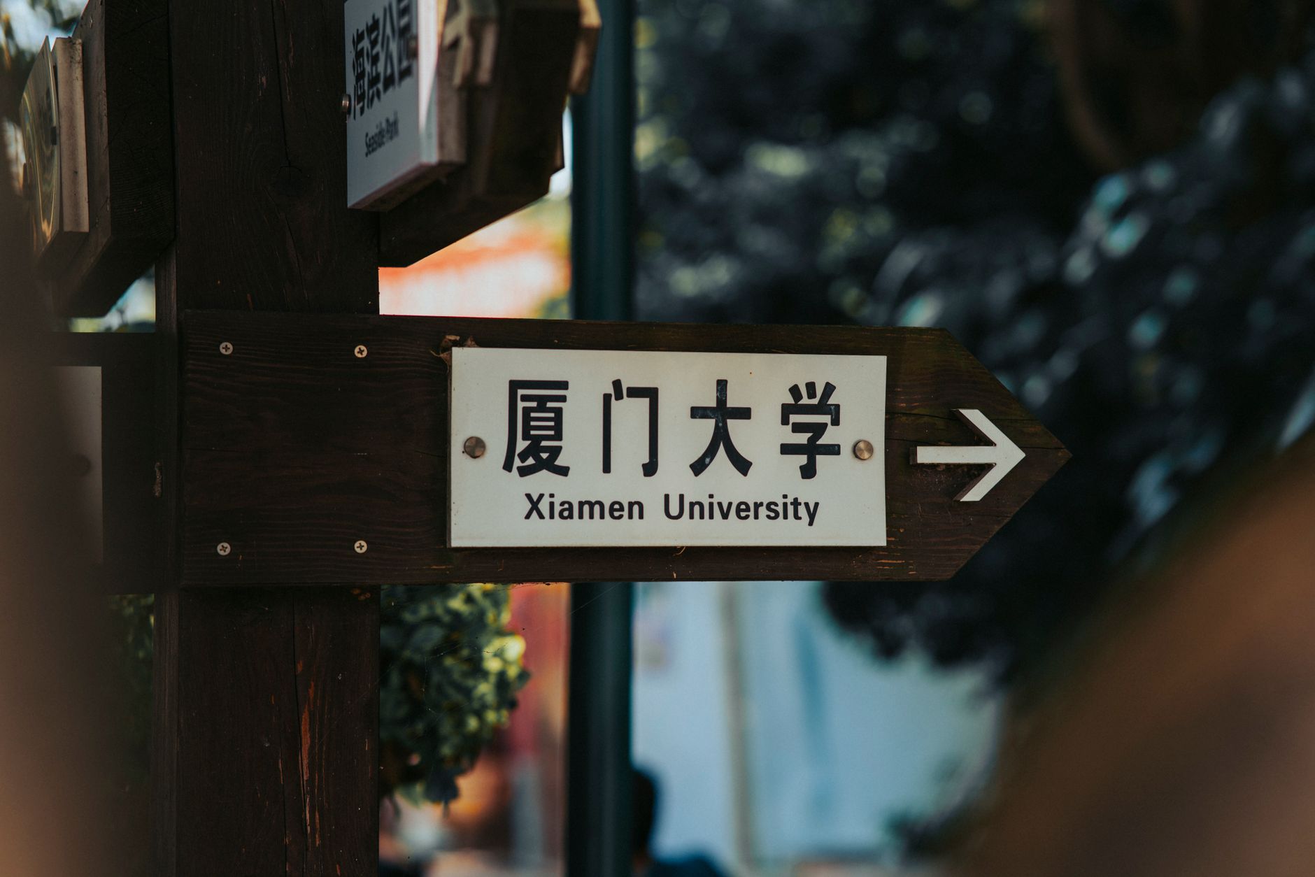 大学生的“轻创业”为什么集中在校园周边